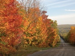 Route de la montagne