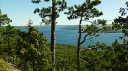 Pinède et lac: Pierre-Emmanuel Chaillon, parc national du Lac-Témiscouata, Sépaq