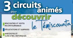 3 circuits animés