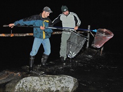 Pêche nocturne