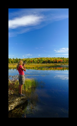 Parc national automne