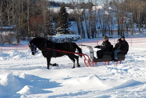 Calèche hiver