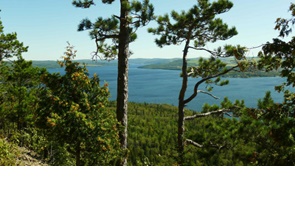 Pinède et lac: Pierre-Emmanuel Chaillon, parc national du Lac-Témiscouata, Sépaq