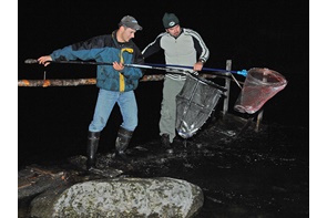 Pêche nocturne