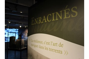 Musée du Témiscouata : Exposition Enracinés