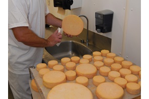 Lavage des fromages, Notre-Dame-du-Lac.