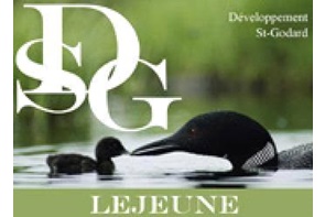 Logo Développement St-Godard