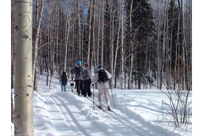 sentier ski de fond